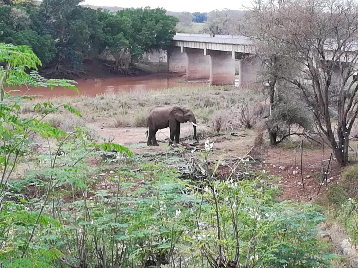 Three Bridges B&B Hoedspruit Zewnętrze zdjęcie