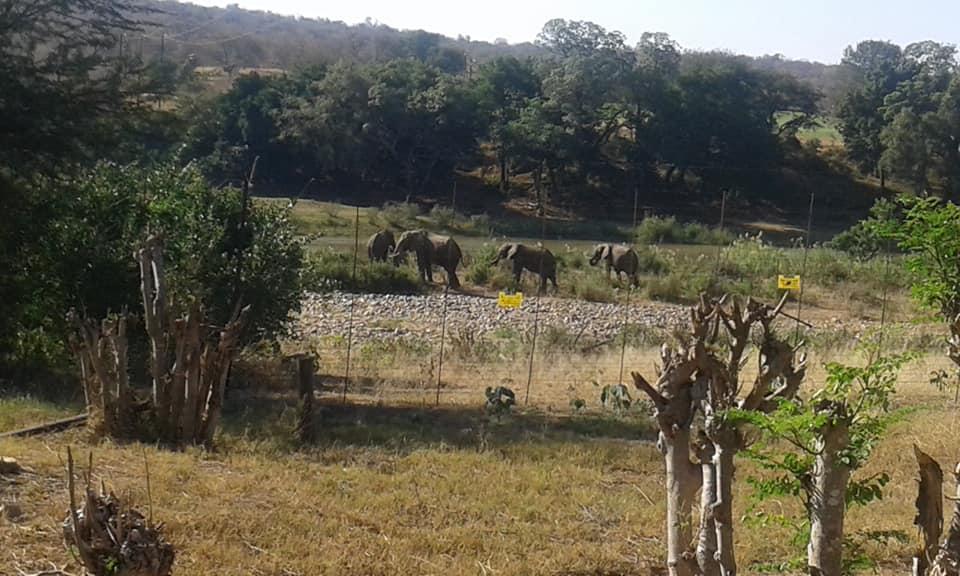 Three Bridges B&B Hoedspruit Zewnętrze zdjęcie
